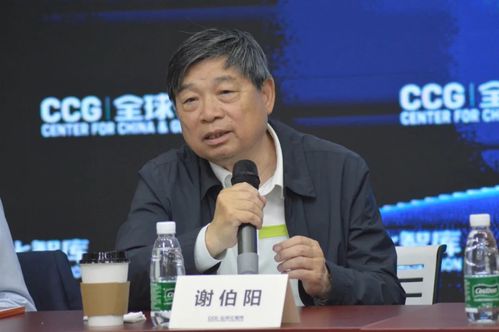 谢伯阳-谢伯阳书画