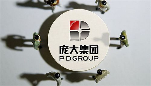 庞大-庞大集团最新大事