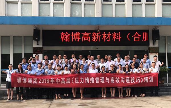 翰博-翰博高新材料合肥股份有限公司
