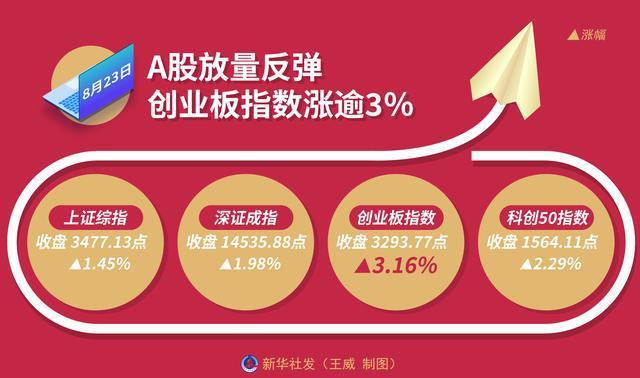 创业板指数-创业板指数权重股比例