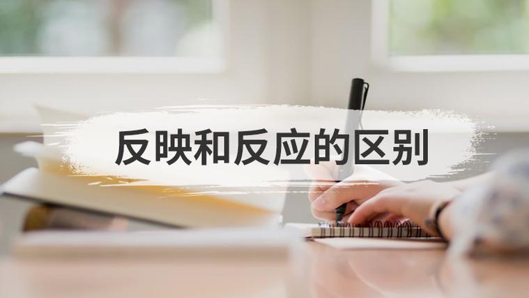 反映-反映情况还是反应情况的区别