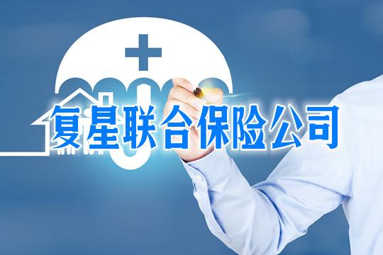 复星-复星联合保险公司