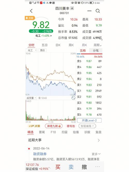 股票300303-股票300303明天是买还是卖?