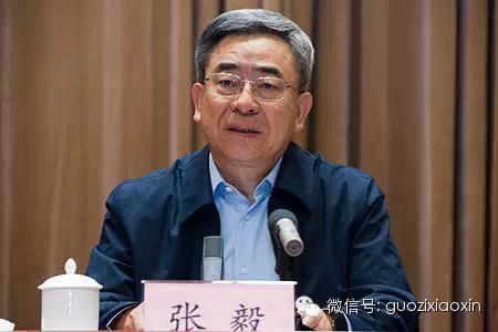 张毅国资委主任的简单介绍