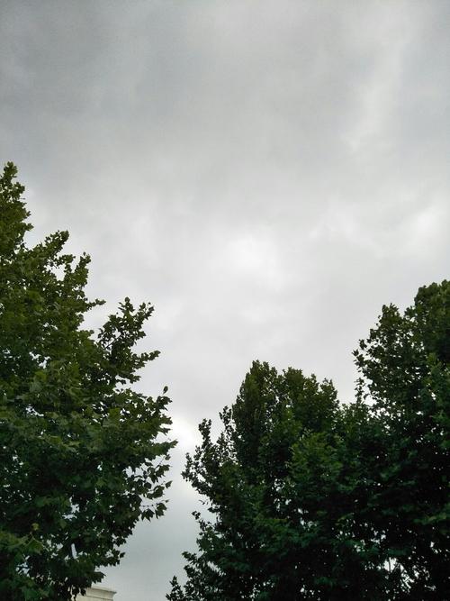 镇-镇平天气预报