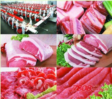 冷鲜肉-冷冻猪肉10大供应商