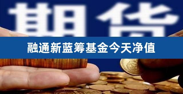 蓝筹基金-蓝筹基金经理
