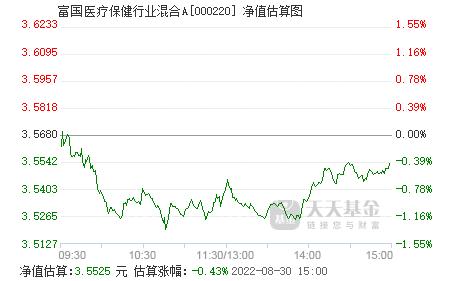 富国医疗-富国医疗精准基金净值查询