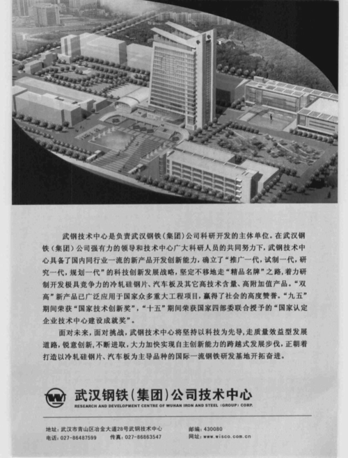 钢铁重组-武汉钢铁重组