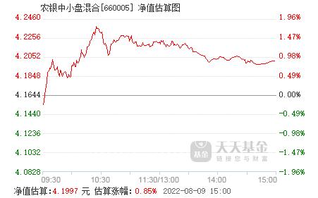 农银中小盘-农银中小盘混合基金净值