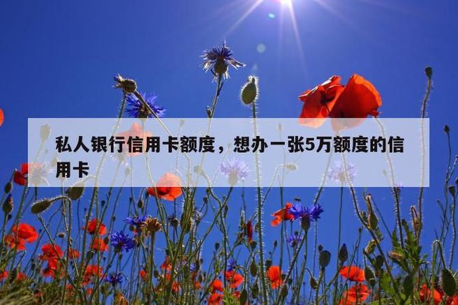 办理5万额度信用卡-办理5万额度信用卡额度多少