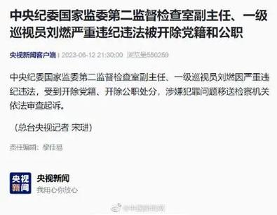 中纪委“内鬼”刘燃被“双开”的简单介绍