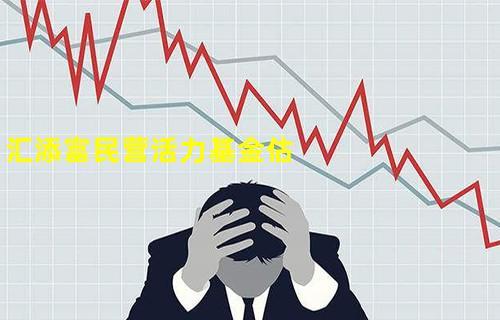 汇添富民营活力-汇添富民营活力估值