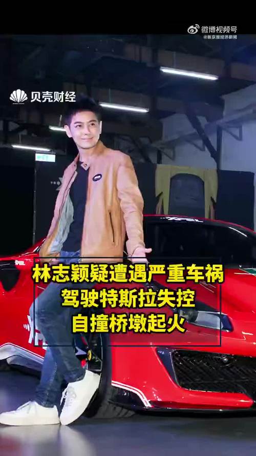 林志颖特斯拉事件原因-林志颖的特斯拉