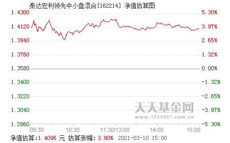 泰达宏利中小盘-泰达宏利中小盘基金净值