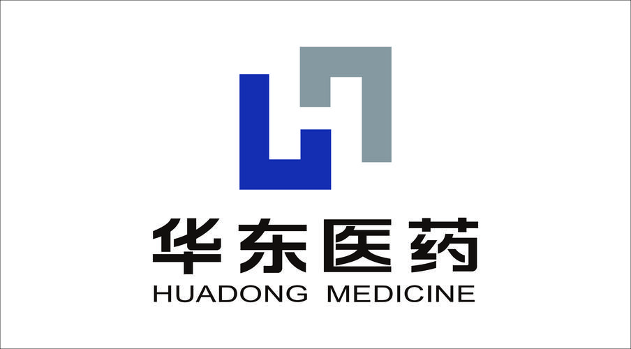 华东医药集团-华东医药集团控股有限公司