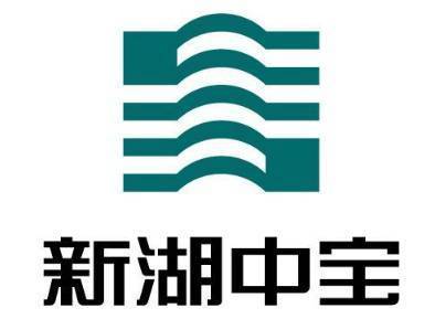 新湖中宝股份-新湖中宝股份有限公司