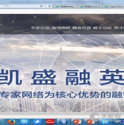 凯盛-凯盛融英