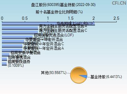 600395股票-600395股票行情