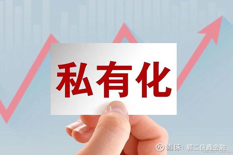 公司私有化-公司私有化是什么意思
