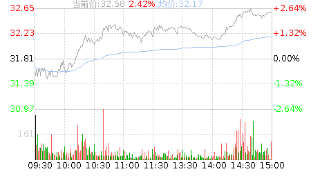 002294股票-002294股票行情