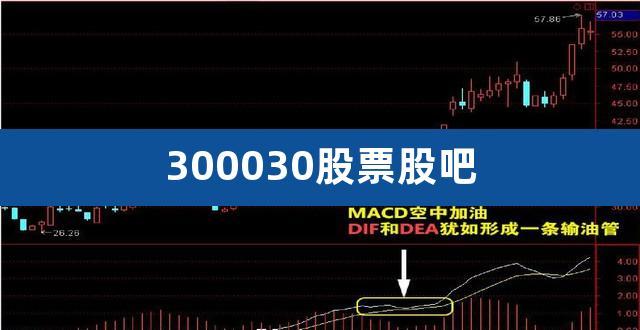 股票300030-股票3000303