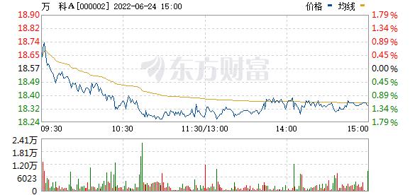 000002股票-000002股票行情查询