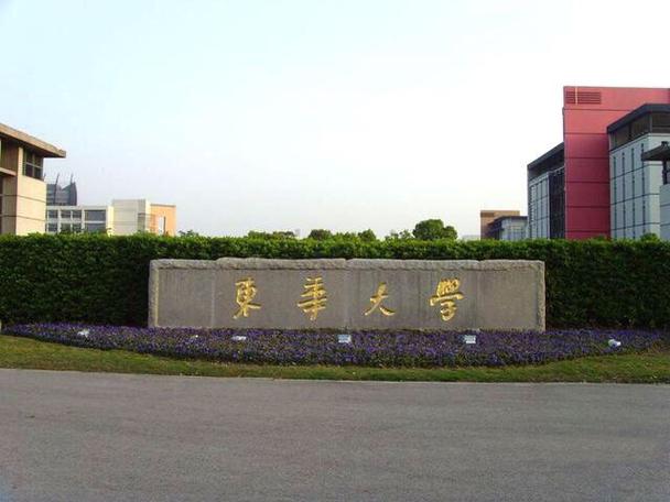 东华-东华大学