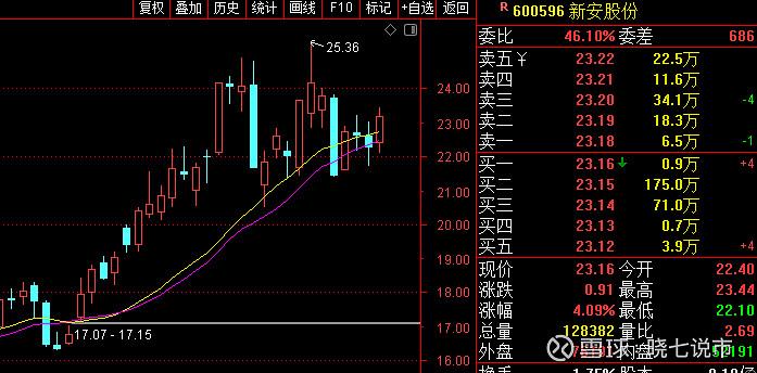 股票600596-新安化工股票600596