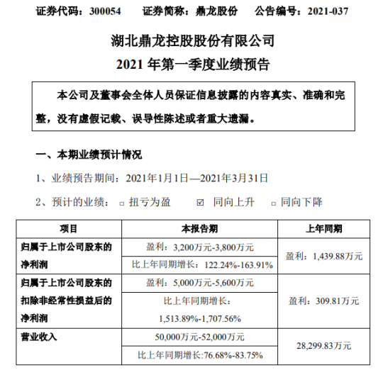 鼎龙股份股票-鼎龙股份股票股吧
