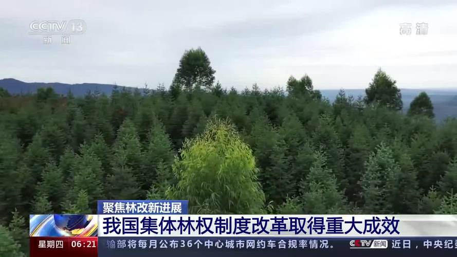 林权制度改革-林权制度改革存在问题及对策