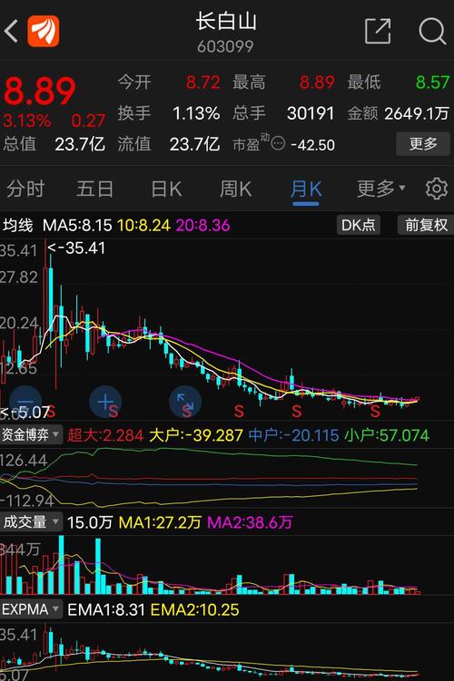 603099-603099长白山股吧