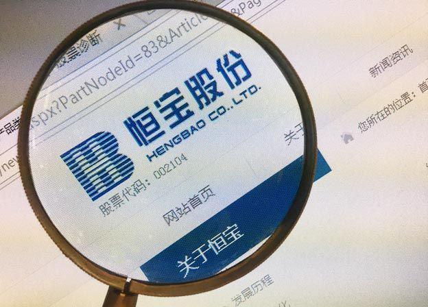 恒宝股份股票-恒宝股份股票股吧