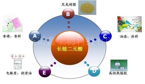 长链二元酸-长链二元酸用途