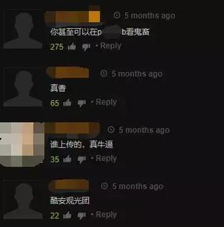 成人网导航-成人网导航无码