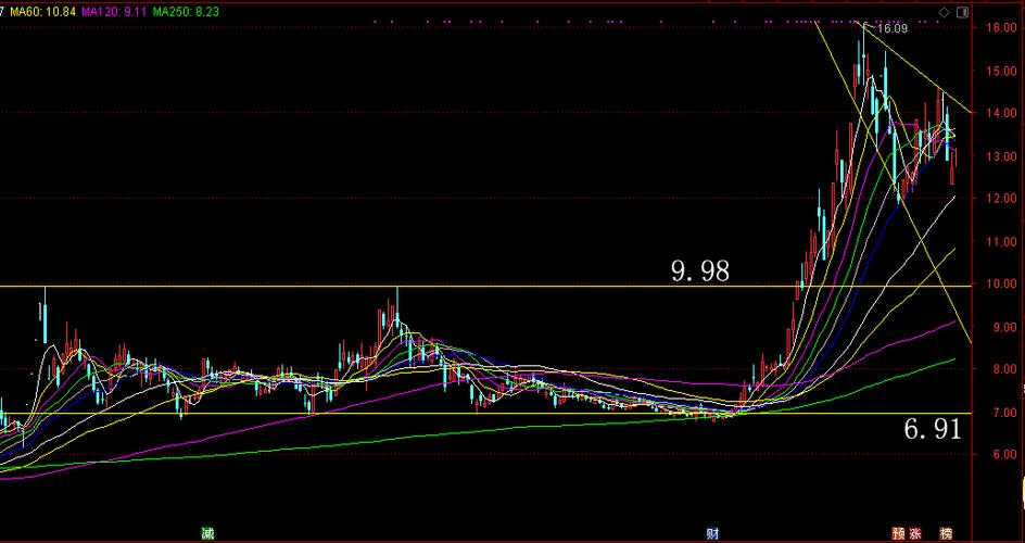 露笑科技股票-露笑科技股票股吧