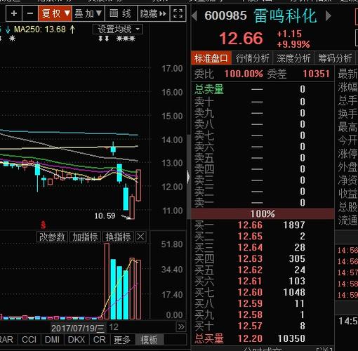 雷鸣科化股票-雷鸣科化股票行情