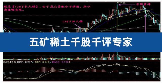 股票600845-股票600845千股千评专家评论