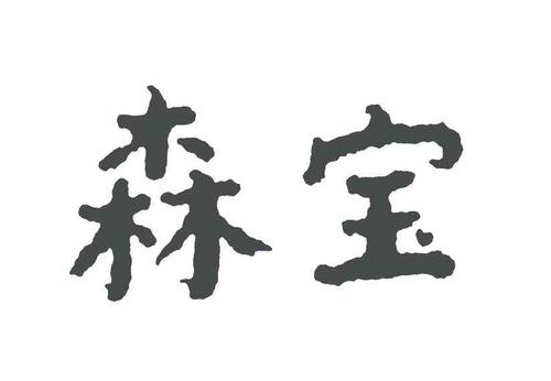 森宝电器-森宝电器股份有限公司