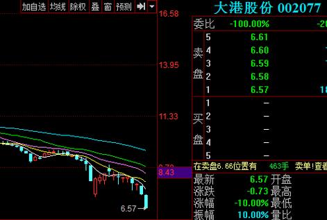 股票002077-股票002077股票价位是多少