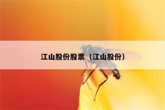 江山股份股票-江山股份股票分析