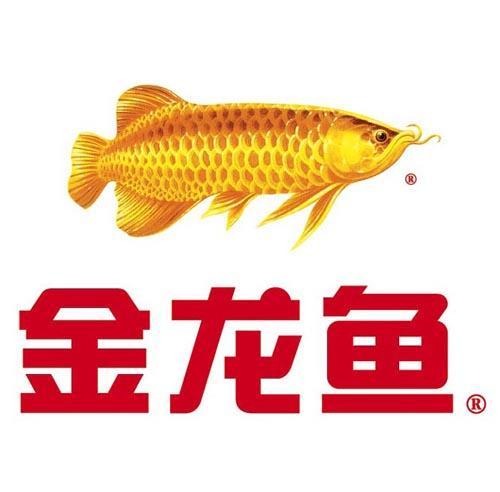 金龙鱼股票-金龙鱼股票股吧