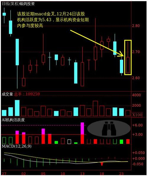 银鸽投资股票怎么样-银鸽投资股票怎么样知乎