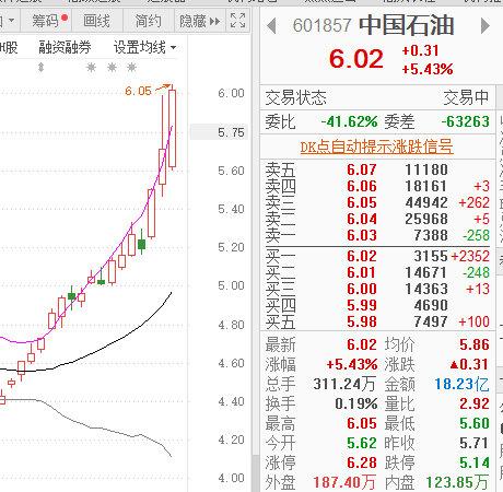 中石油股票价格-中石油股票价格601857