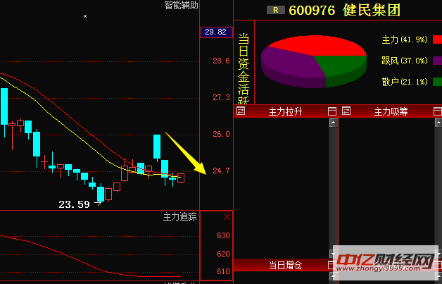 600976股票-600976股票分析