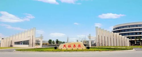 中国天楹-中国天楹公司的简介