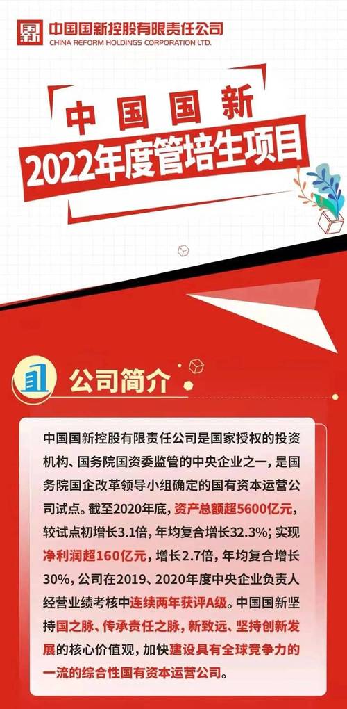 中国国新-中国国新控股有限责任公司