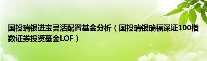 国投瑞银瑞福进取-国投瑞银瑞福进取基金
