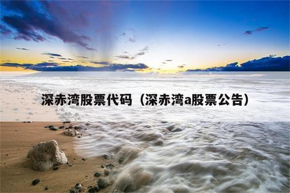 深赤湾股票-深赤湾股票代码