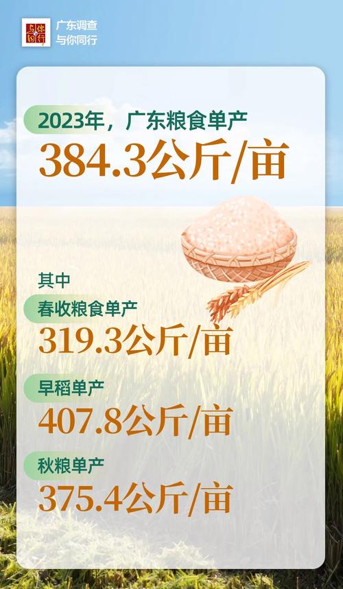 稻谷财经资讯-稻谷财经资讯官网